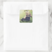 Voeg uw eigen foto 1st de naamSticker van de Geboo Vierkante Sticker (Tas)