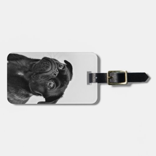 Voeg uw eigen foto-reis toe | grappige pug bagagelabel (Voorkant horizontaal)