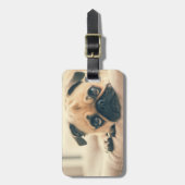 Voeg uw eigen foto-reis toe | grappige pug bagagelabel (Voorkant verticaal)