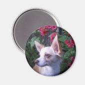 "Voeg uw eigen Foto toe" Magnet (Voorkant / Achterkant)