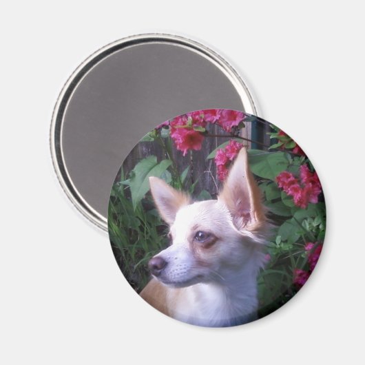 "Voeg uw eigen Foto toe" Magnet (Voorkant / Achterkant)