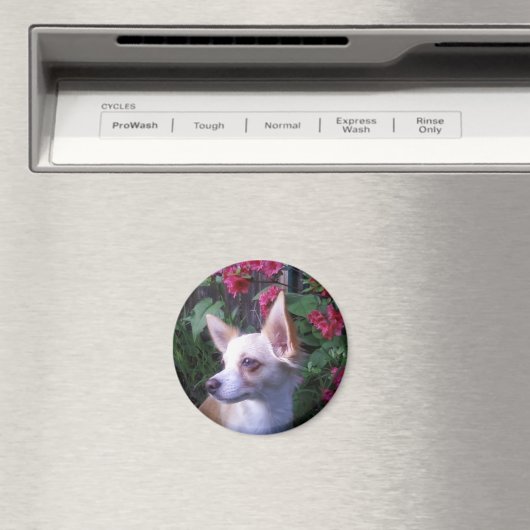 "Voeg uw eigen Foto toe" Magnet (Insitu (Vaatwasser))