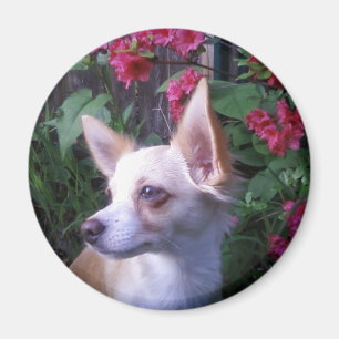 "Voeg uw eigen Foto toe" Magnet