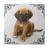 VOEG UW EIGEN FOTO TOE TEGELTJE (Voorkant)