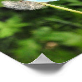 Voeg uw eigen foto's toe  4 afbeeldingen Poster (Hoek)