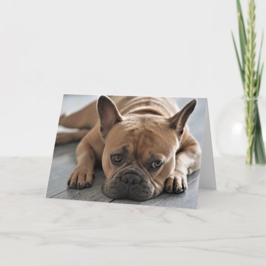 VOEG UW EIGEN TEKST Leuke Frenchie toe Kaart (Voorkant)