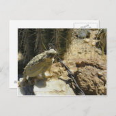 VOEG UW EIGEN TEKST TOE AAN Godzilla's geposte pos Briefkaart (Voorkant / Achterkant)