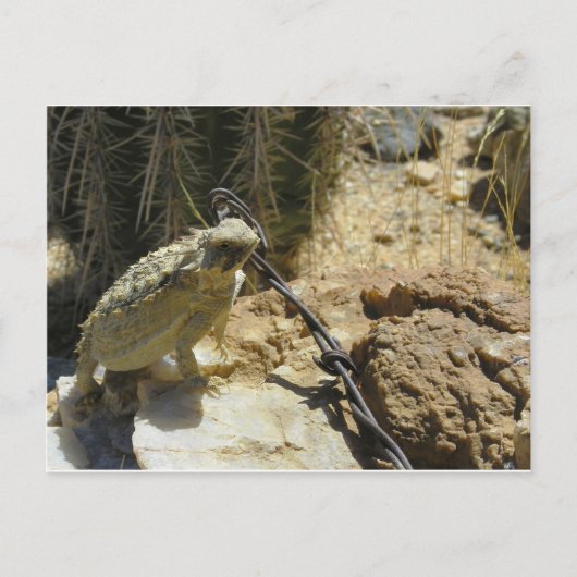 VOEG UW EIGEN TEKST TOE AAN Godzilla's geposte pos Briefkaart (Voorkant)