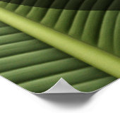 Voeg uw eigen tekst toe Bananenbladeren Close-up f Poster (Hoek)