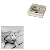 VOEG UW FOTO KAT PET GEPERSONALISEERD RUBBER STEMP RUBBERSTEMPEL (Gestempeld)