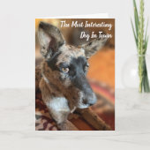 Voeg uw foto runderhond verjaardag te laat toe kaart (Voorkant)