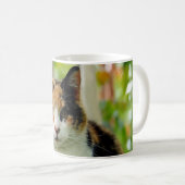 Voeg uw foto van de Kat van het Gezelschapsje aan  Koffiemok (Voorkant rechts)