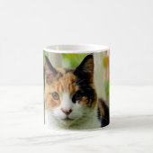 Voeg uw foto van de Kat van het Gezelschapsje aan  Koffiemok (Center)