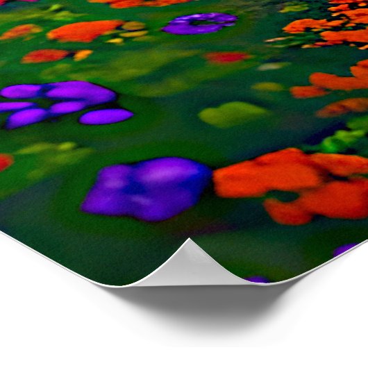 Voeg Uw Manuscript toe, Christelijke Zonnesettuin  Poster (Hoek)