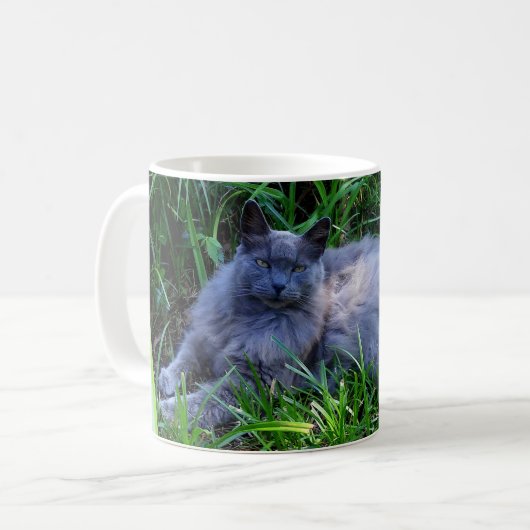 Voeg uw Mok voor fotokattenkoffie voor gezelschaps (Voorkant links)
