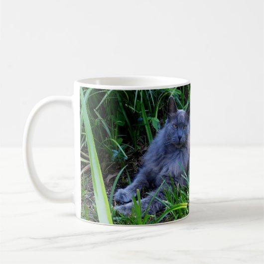 Voeg uw Mok voor fotokattenkoffie voor gezelschaps (Links)