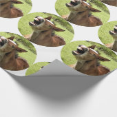 VOEL CADEAUPAPIER (Hoek)