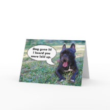 Voel de beter spoedig Franse Kaart van de Buldog