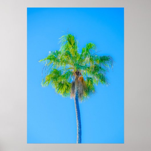 Voel de zomer poster (Voorkant)