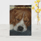 Voel je beter kaart met beagle (Gele Bloem)