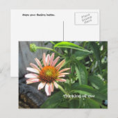 Voel je beter roze Daisy Briefkaart (Voorkant / Achterkant)