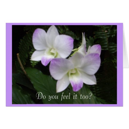 Voel je het ook? Kaart (Voorkant Horizontaal)