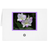 Voel je het ook? Kaart (Achterkant Horizontaal)