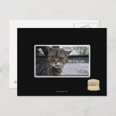 Voel je je gelukkig? briefkaart (Voorkant / Achterkant)