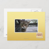 Voel je je gelukkig? briefkaart (Voorkant / Achterkant)