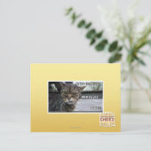 Voel je je gelukkig? briefkaart (Staand voorkant)