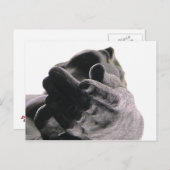 Voel je je niet als een Kind? Briefkaart (Voorkant / Achterkant)