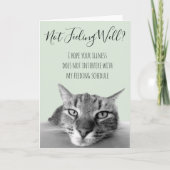 Voel je niet lekker Beterschap van katten humor Kaart (Voorkant)