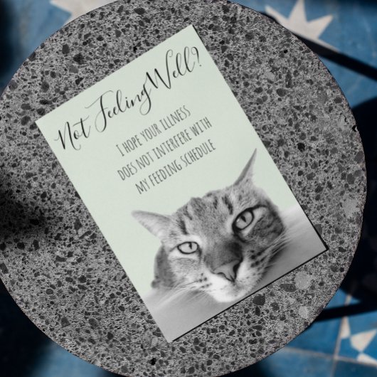 Voel je niet lekker Beterschap van katten humor Kaart