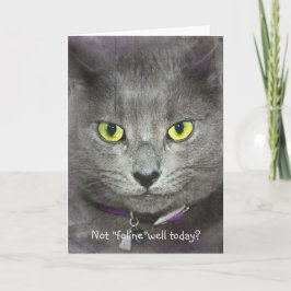 Voel je snel beter kattengezicht kaart