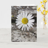 Voel je snel beter, madeliefje en bedorven hout kaart (Gele Bloem)