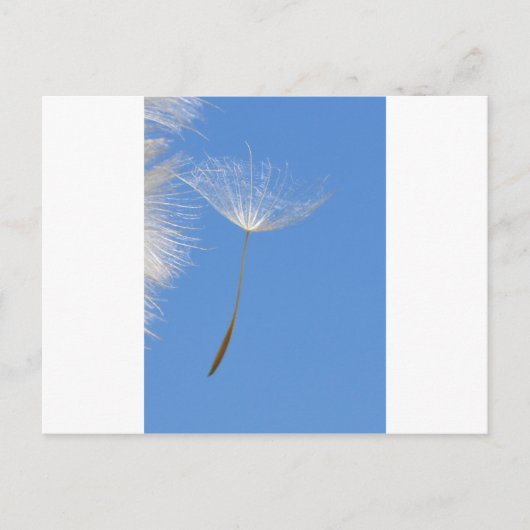 Voel je vrij briefkaart (Voorkant)