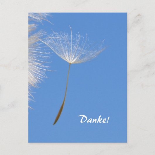 Voel je vrij - Flying Dandelion seed Briefkaart (Voorkant)
