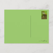 Voel je vrij - Flying Dandelion zaad Aankondigingskaart (Achterkant)