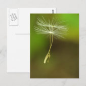Voel vrij - vliegende Dandelion-zaden Briefkaart (Voorkant / Achterkant)