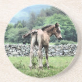 VOEL ZANDSTEEN ONDERZETTER (Voorkant)