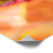 Voelde slak kruipen over vliegenzwam poster (Hoek)