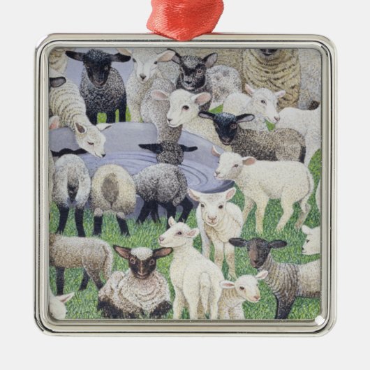 Voeling van schapen metalen ornament (Voorkant)