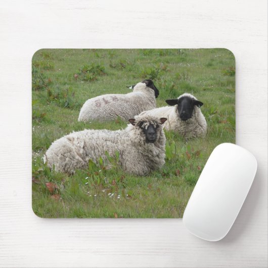 Voeling van schapen muismat (Met muis)