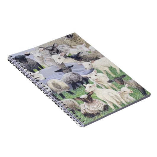 Voeling van schapen notitieboek (Rechterzijde)