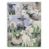 Voeling van schapen notitieboek (Voorkant)
