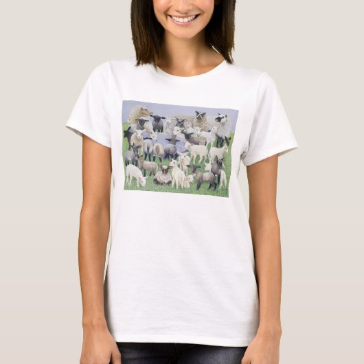 Voeling van schapen t-shirt (Voorkant)