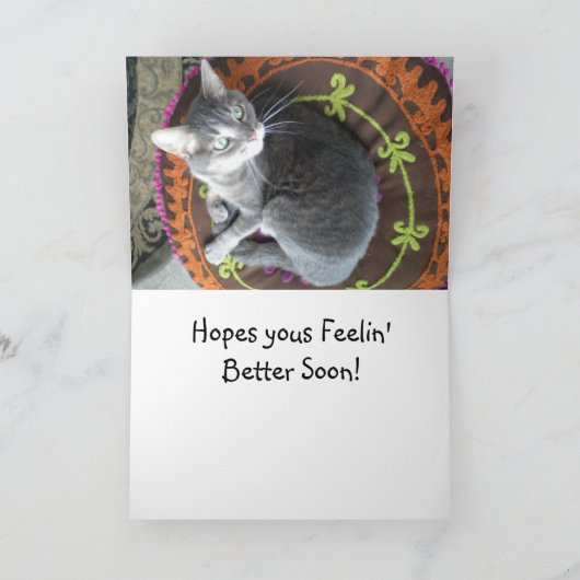 Voelt beter spoedig de Kat van het Kat Kaart (Binnen)