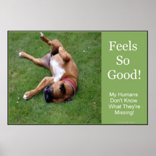 Voelt Zich Goed Poster