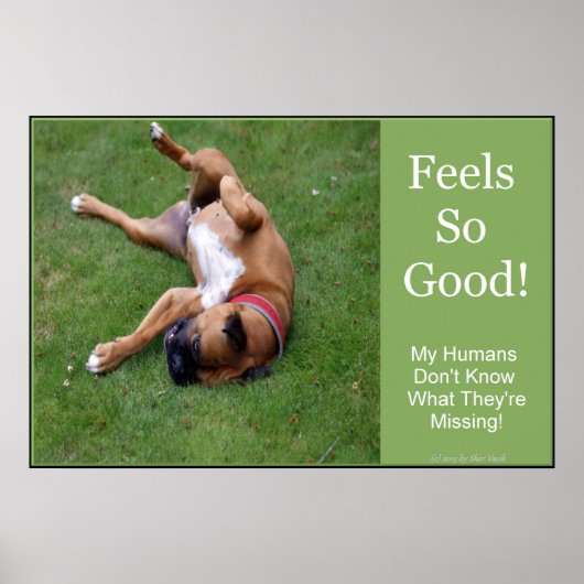 Voelt zo goed Poster (Voorkant)
