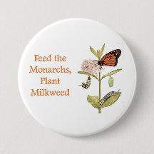 Voer de Monarchen, Plant Zijdeplant Knop